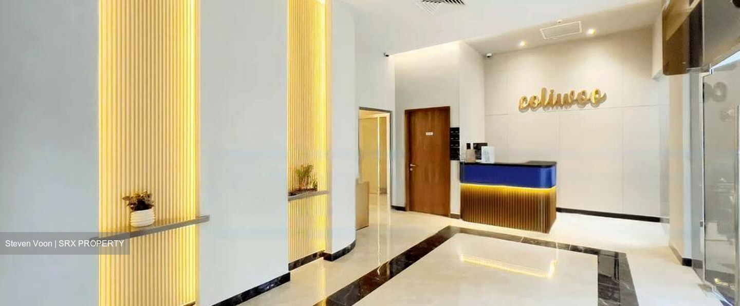 Mount Elizabeth Link (D9), Apartment #516091841